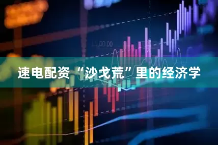 速电配资 “沙戈荒”里的经济学