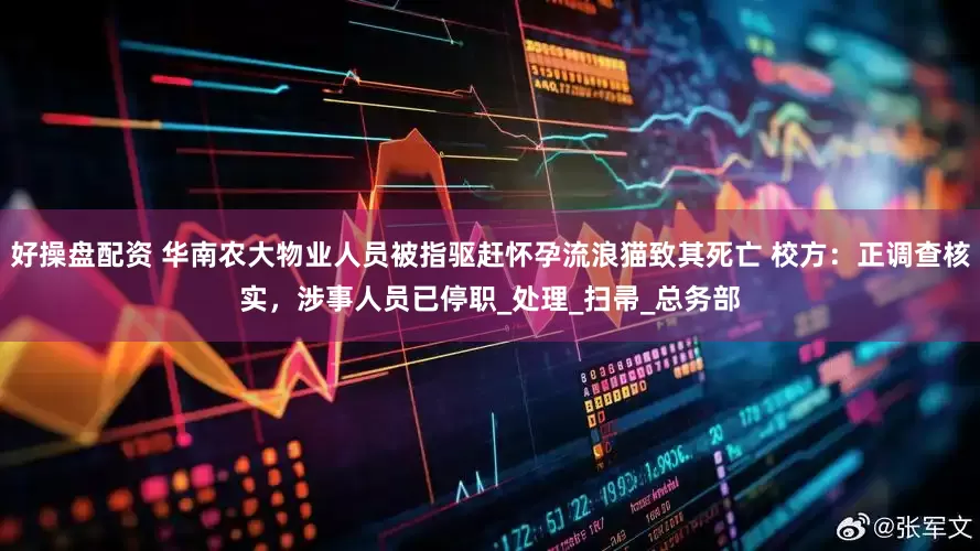 好操盘配资 华南农大物业人员被指驱赶怀孕流浪猫致其死亡 校方：正调查核实，涉事人员已停职_处理_扫帚_总务部