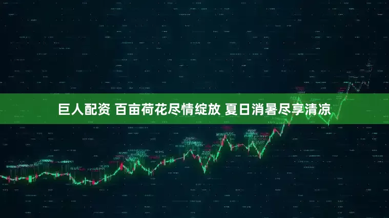 巨人配资 百亩荷花尽情绽放 夏日消暑尽享清凉