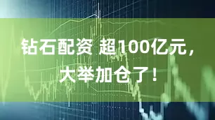 钻石配资 超100亿元，大举加仓了！
